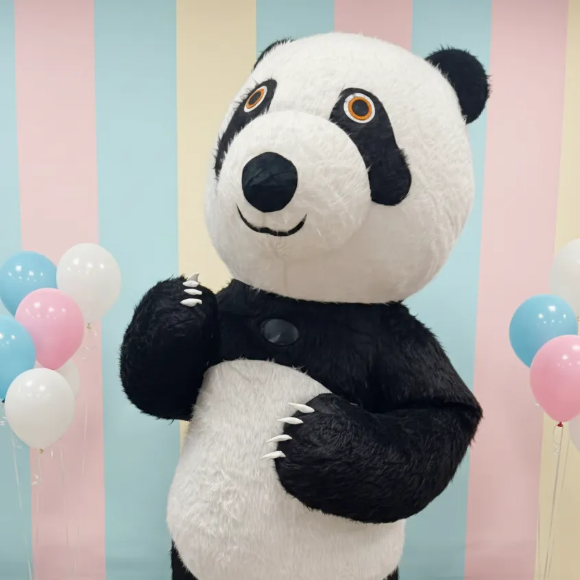 Miś Panda